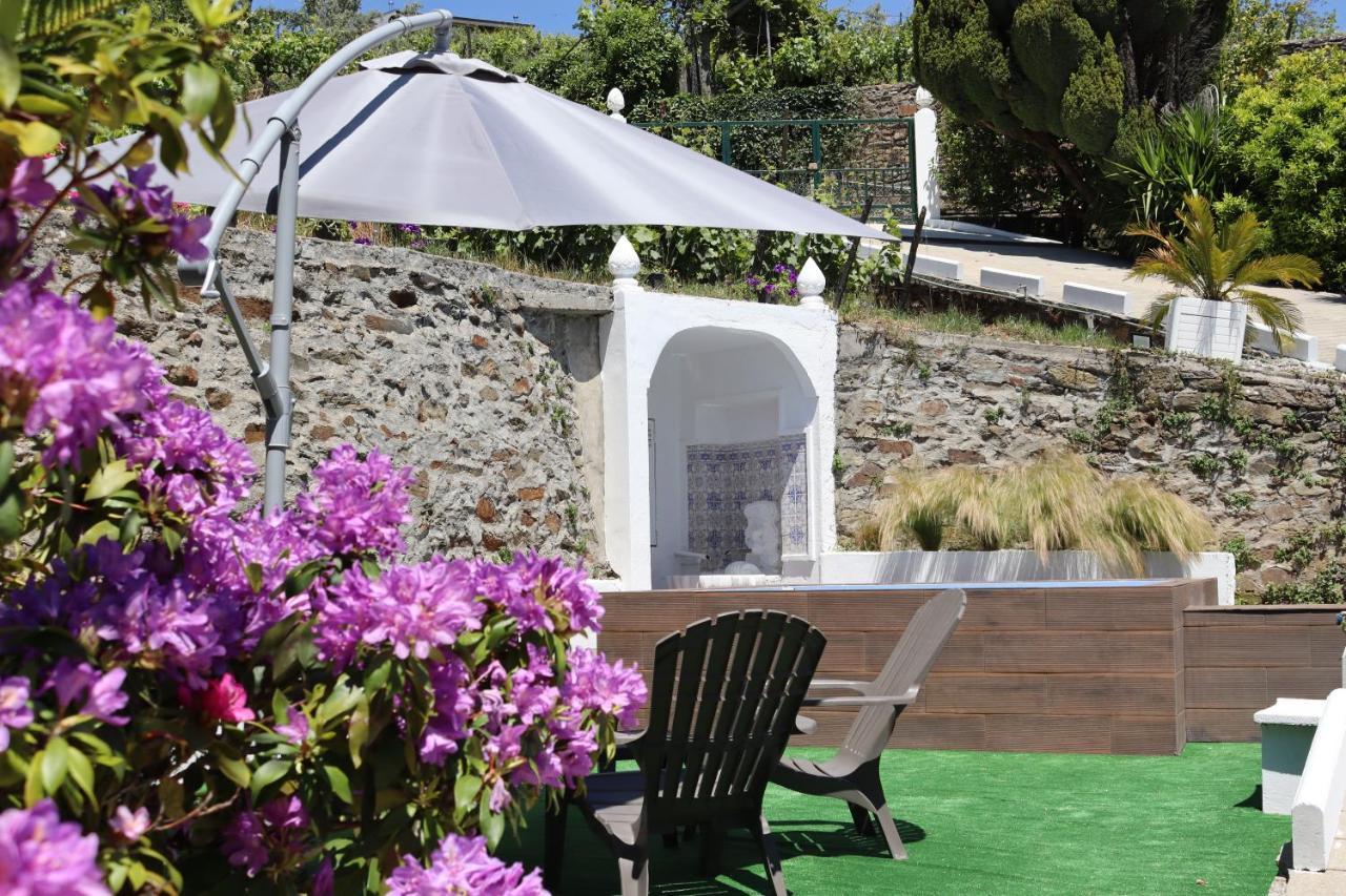 Villa Samaritana - Casa Da Vinha Vila Marim المظهر الخارجي الصورة