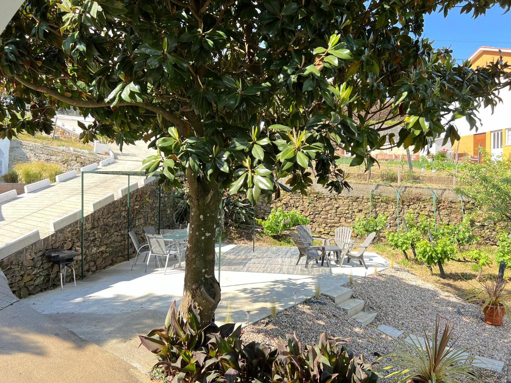Villa Samaritana - Casa Da Vinha Vila Marim المظهر الخارجي الصورة